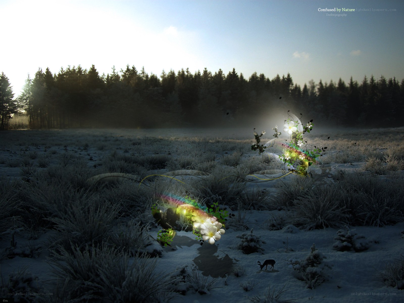 Frosty field with glowing flowers