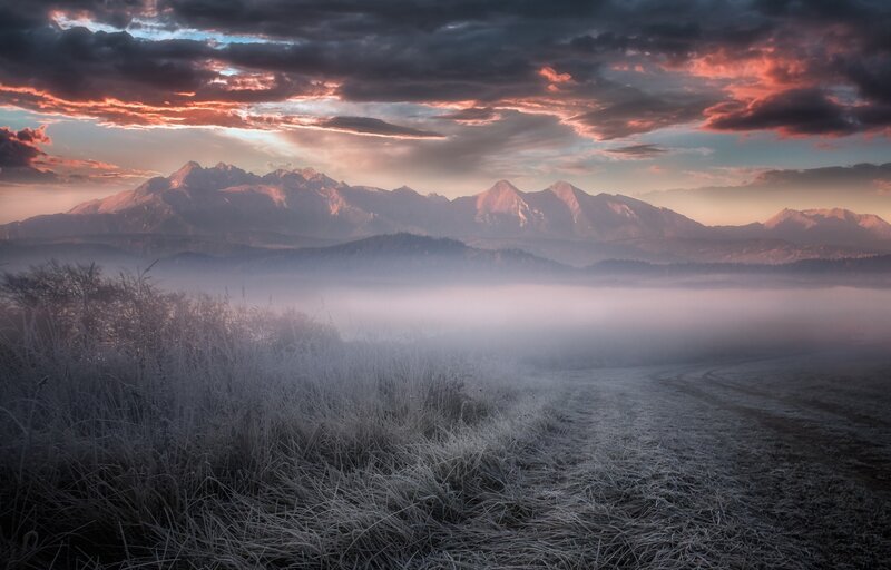 Frosty Field with Mountains — Gray