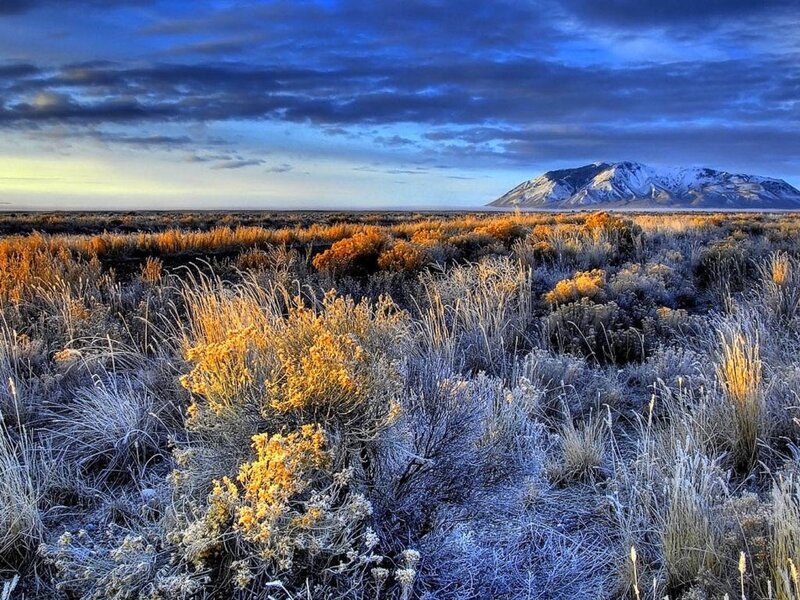 Frosty field with snow-capped mountain