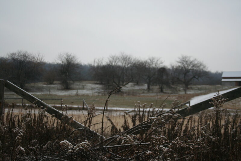 frosty field with wooden fence