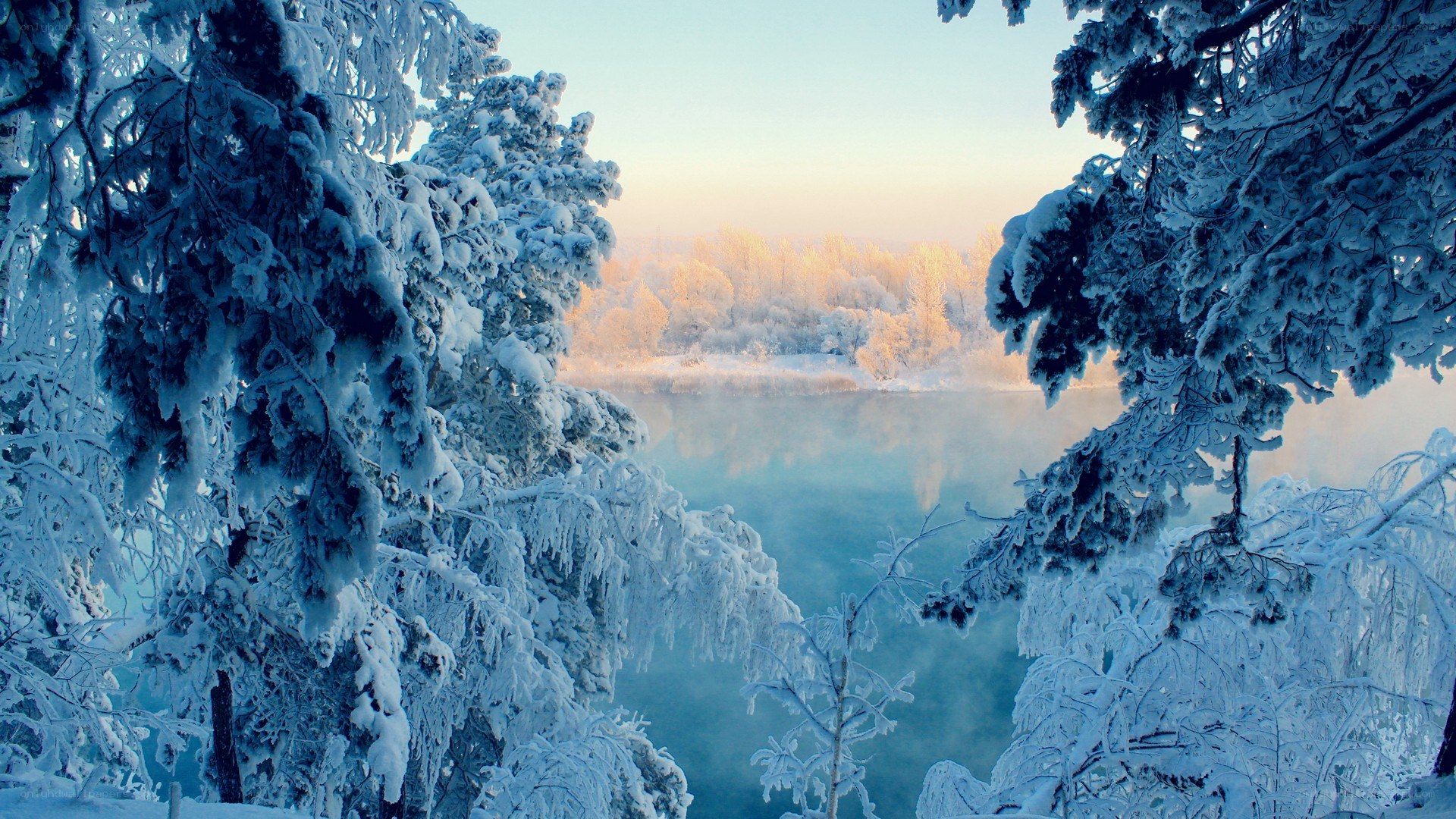 frosty forest lake at dawn