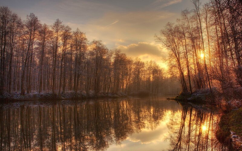 Frosty Forest Lake — Gold