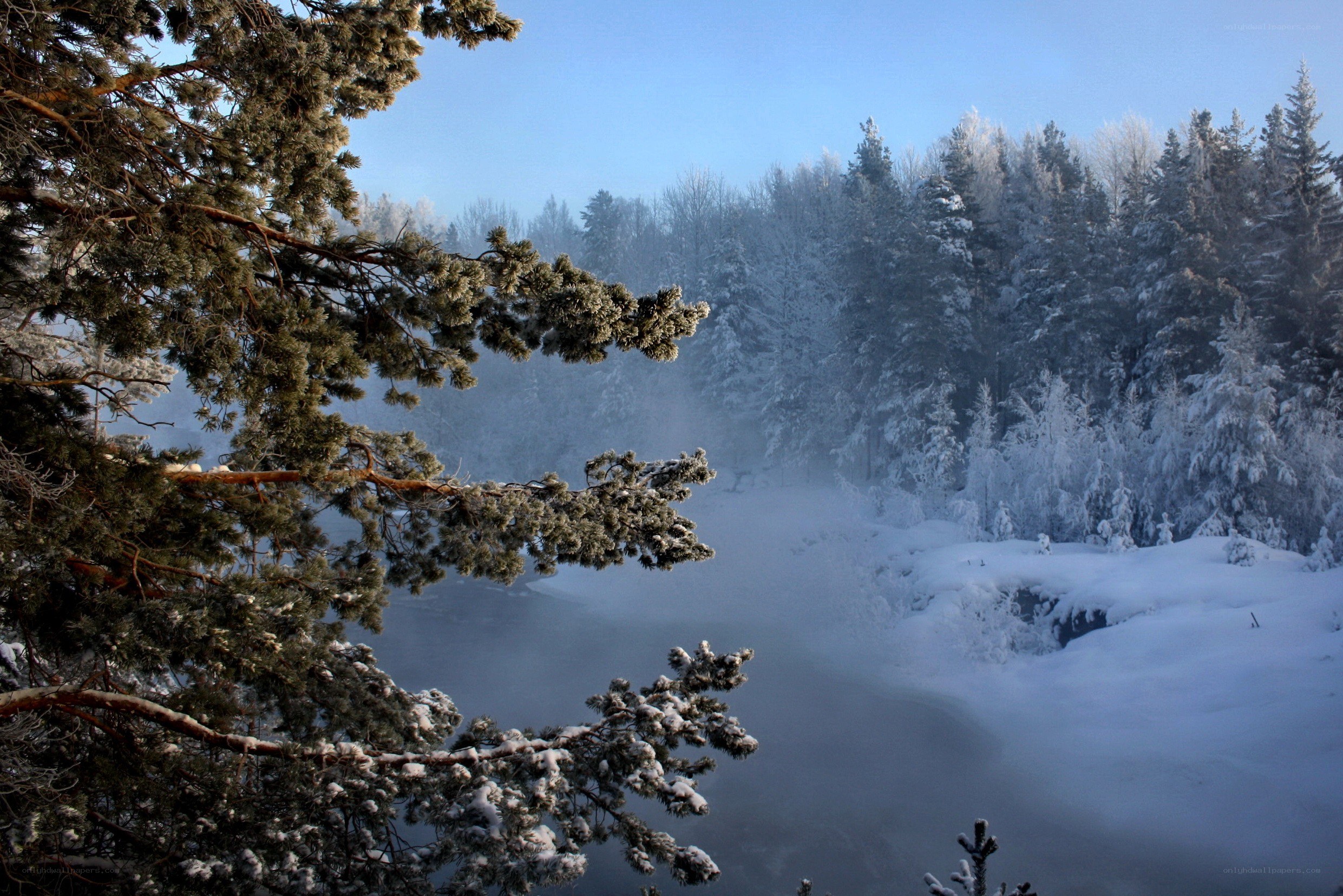 Frosty forest river scene