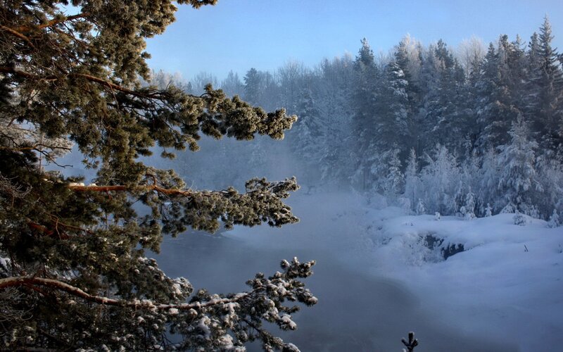 frosty forest river scene