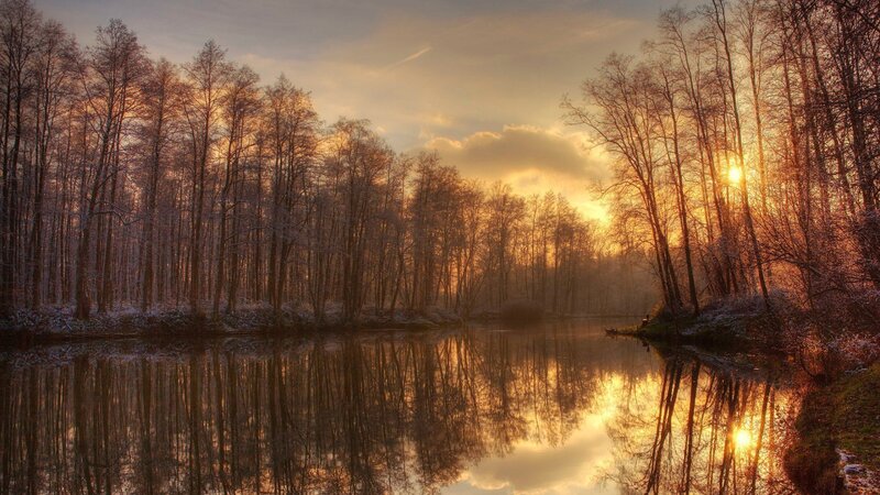 Frosty Forest River