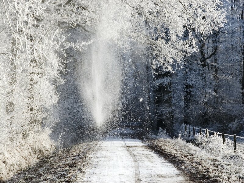 frosty forest road