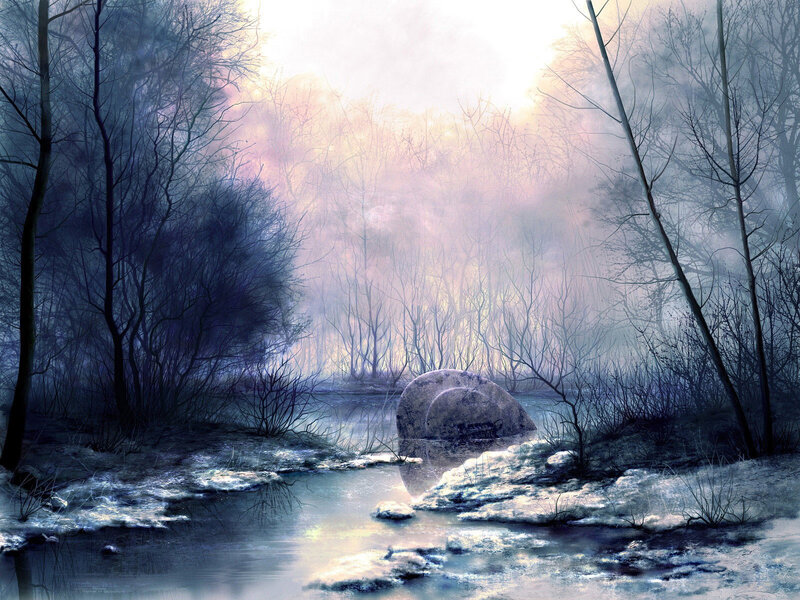 Frosty forest stream