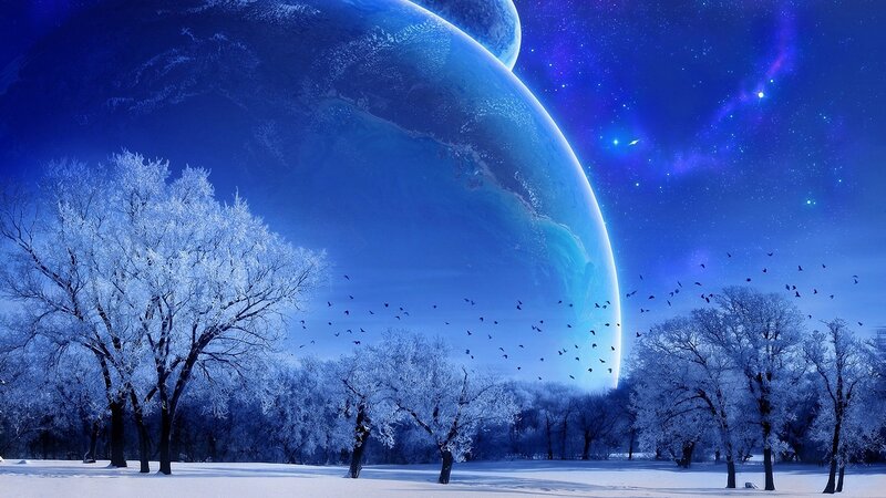 Frosty forest under alien planet