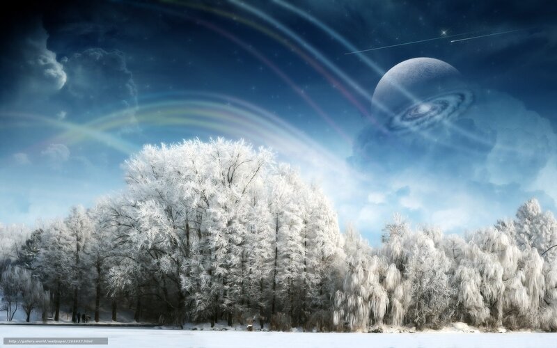 Frosty forest under cosmic sky