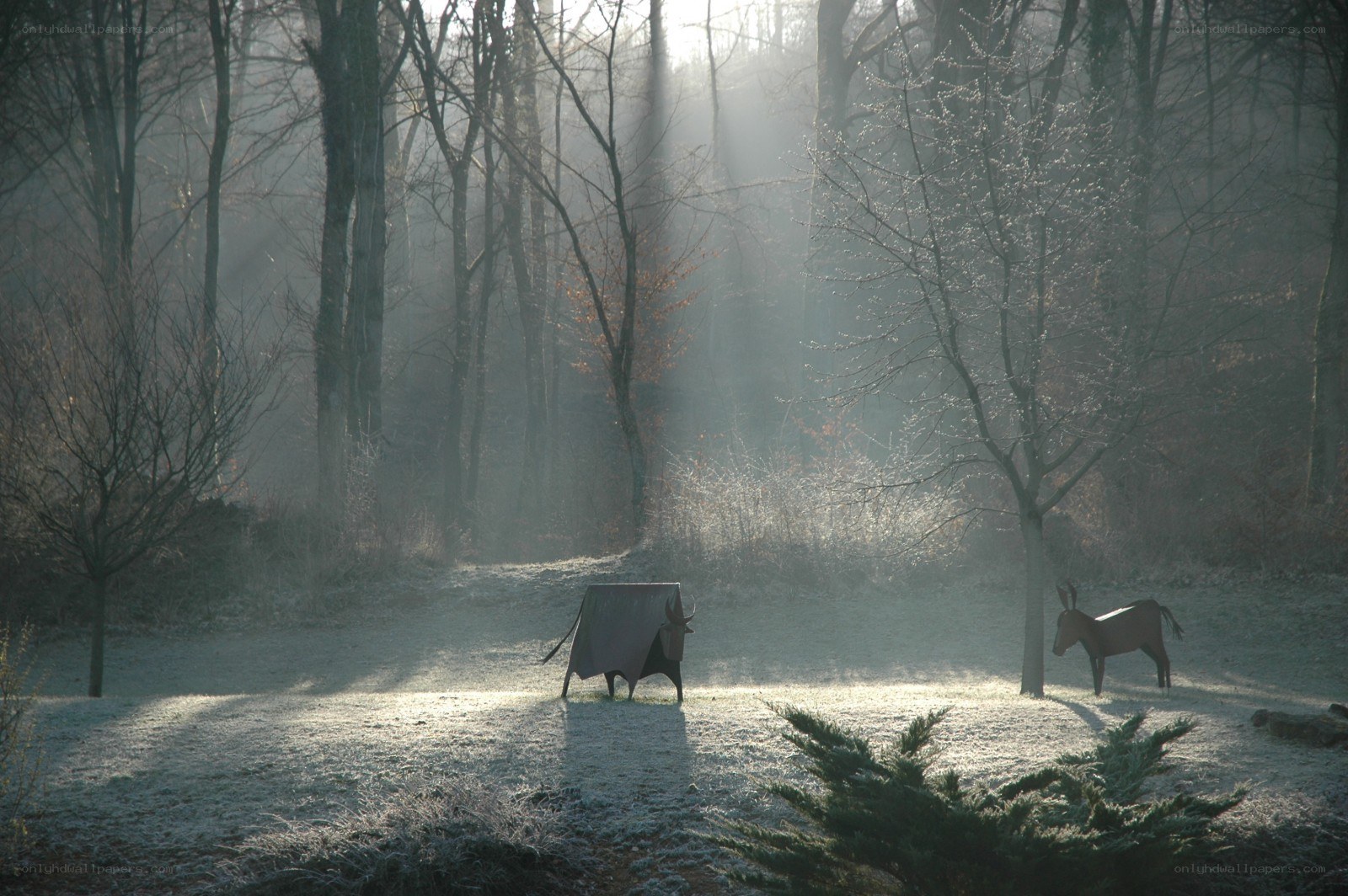 Frosty forest with sculptures
