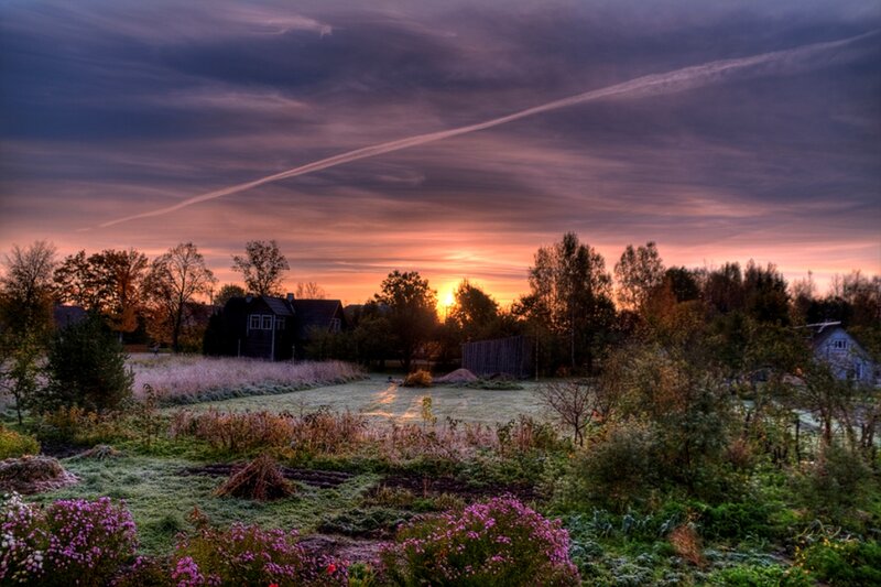 Frosty Garden at Sunrise