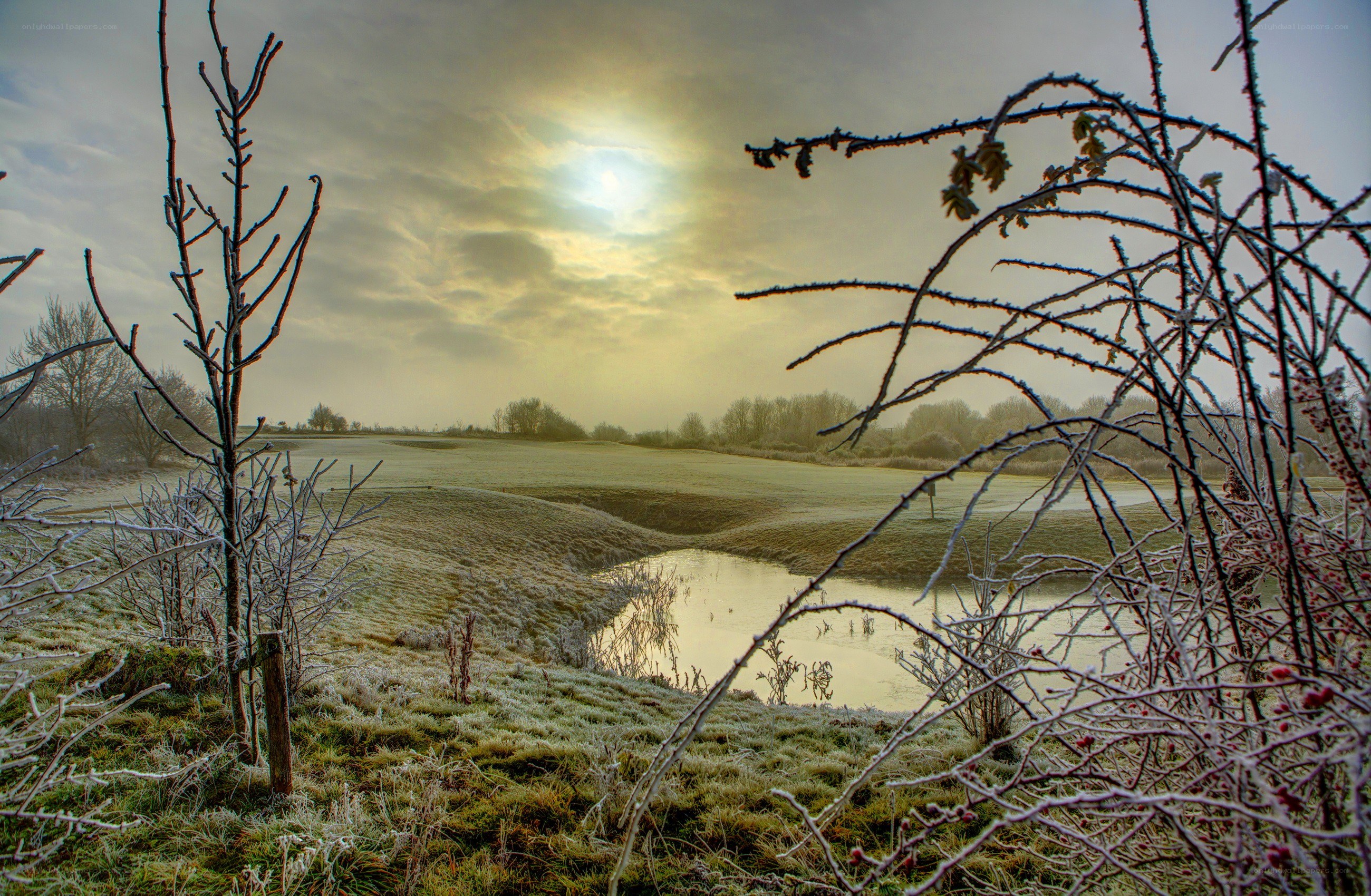 Frosty golf course at sunrise