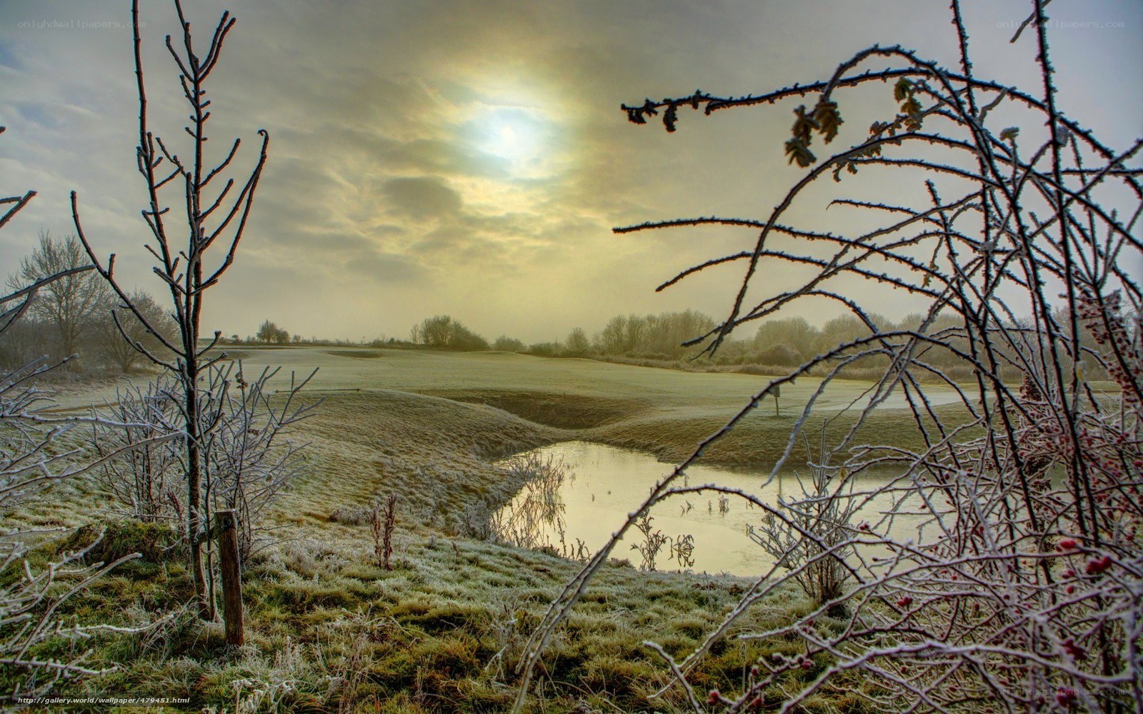 Frosty golf course at sunrise