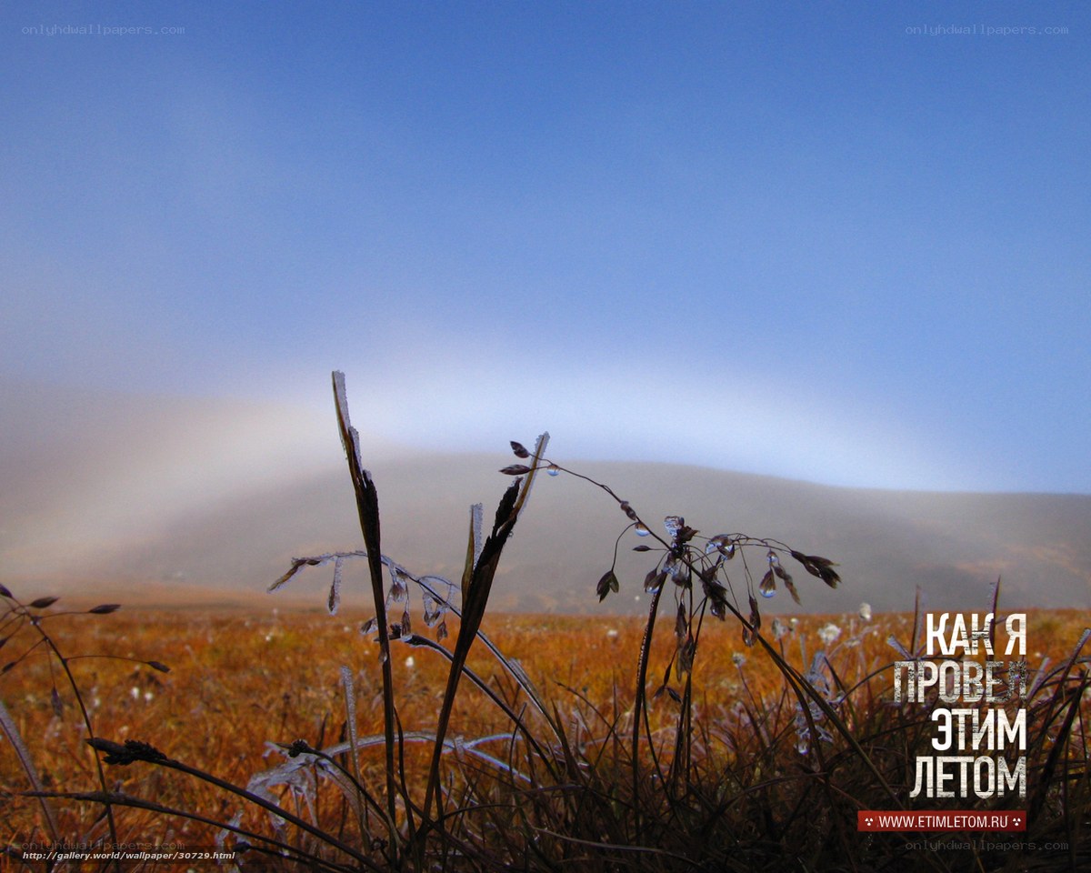 Frosty grass in autumn field
