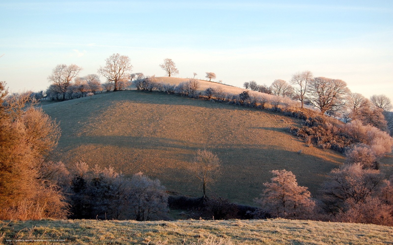Frosty hill at sunrise