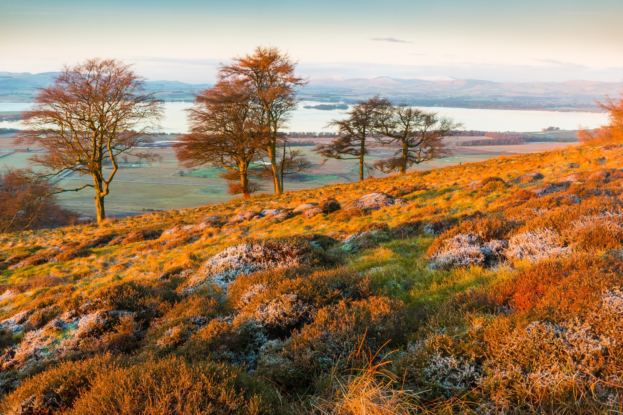 Frosty hillside at sunrise