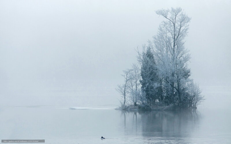 Frosty island in misty lake