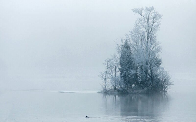 Frosty island in misty lake