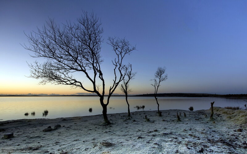 Frosty lake at dawn