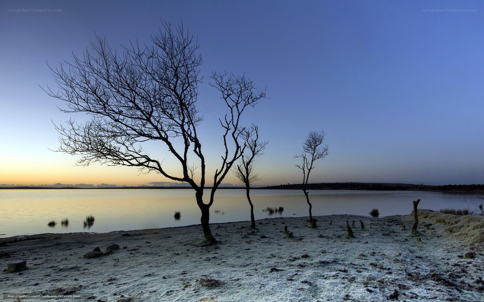 Frosty lake at dawn