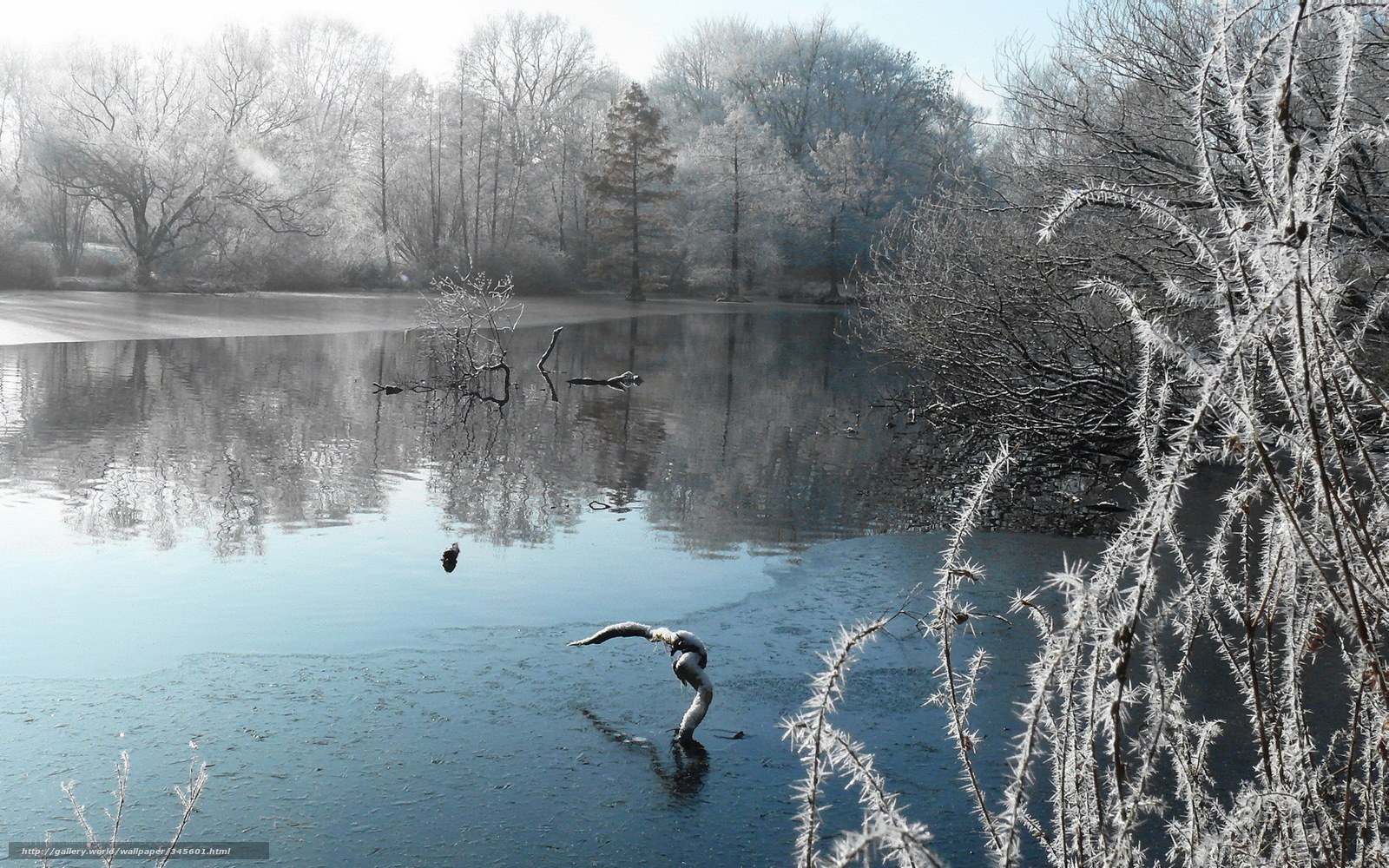 frosty lake in winter