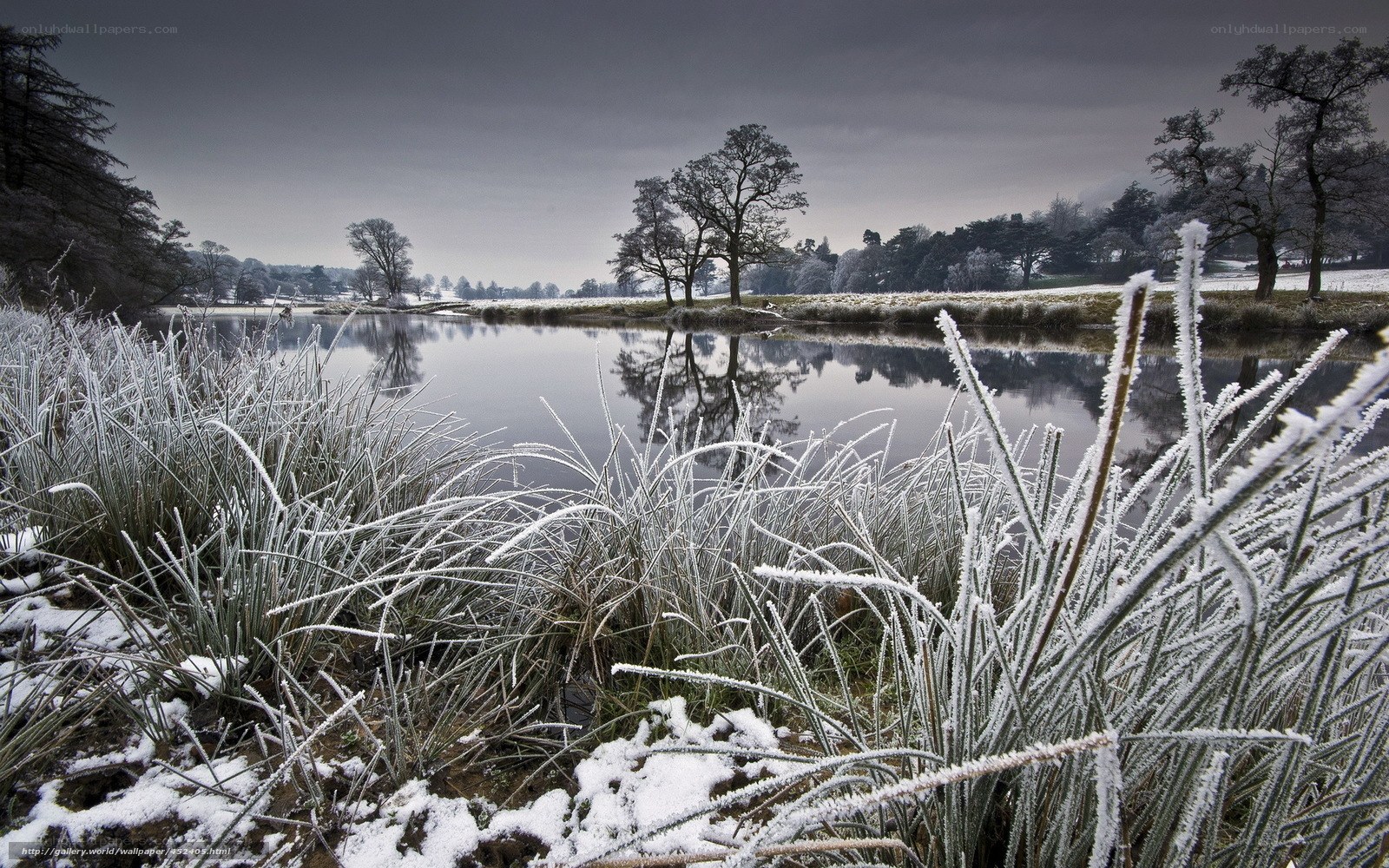 Frosty lake landscape