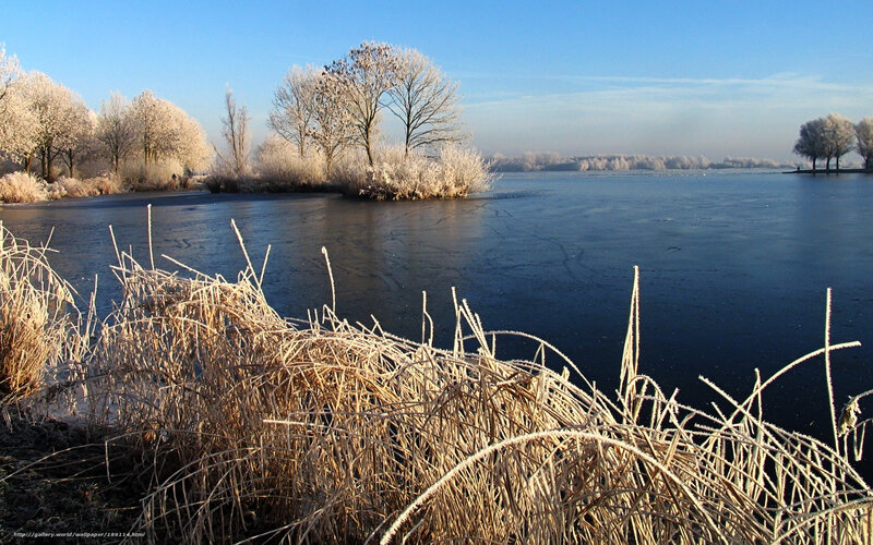 Frosty lake landscape
