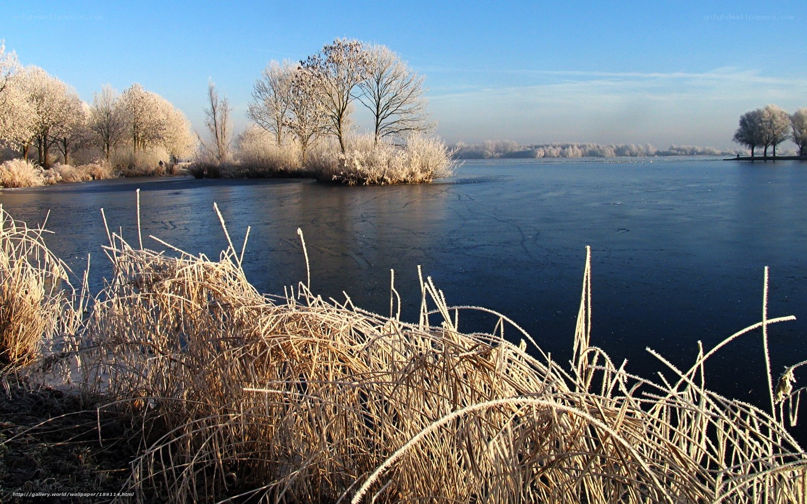 Frosty lake landscape