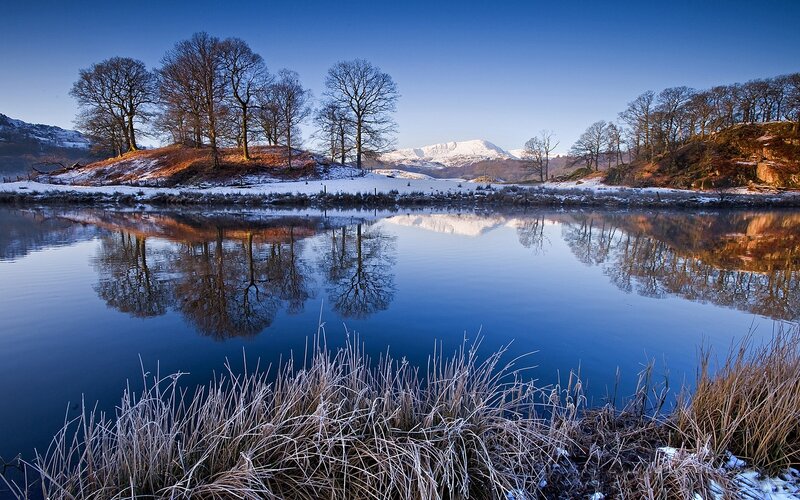 Frosty Lake with Trees — Blue, Serene, Winter