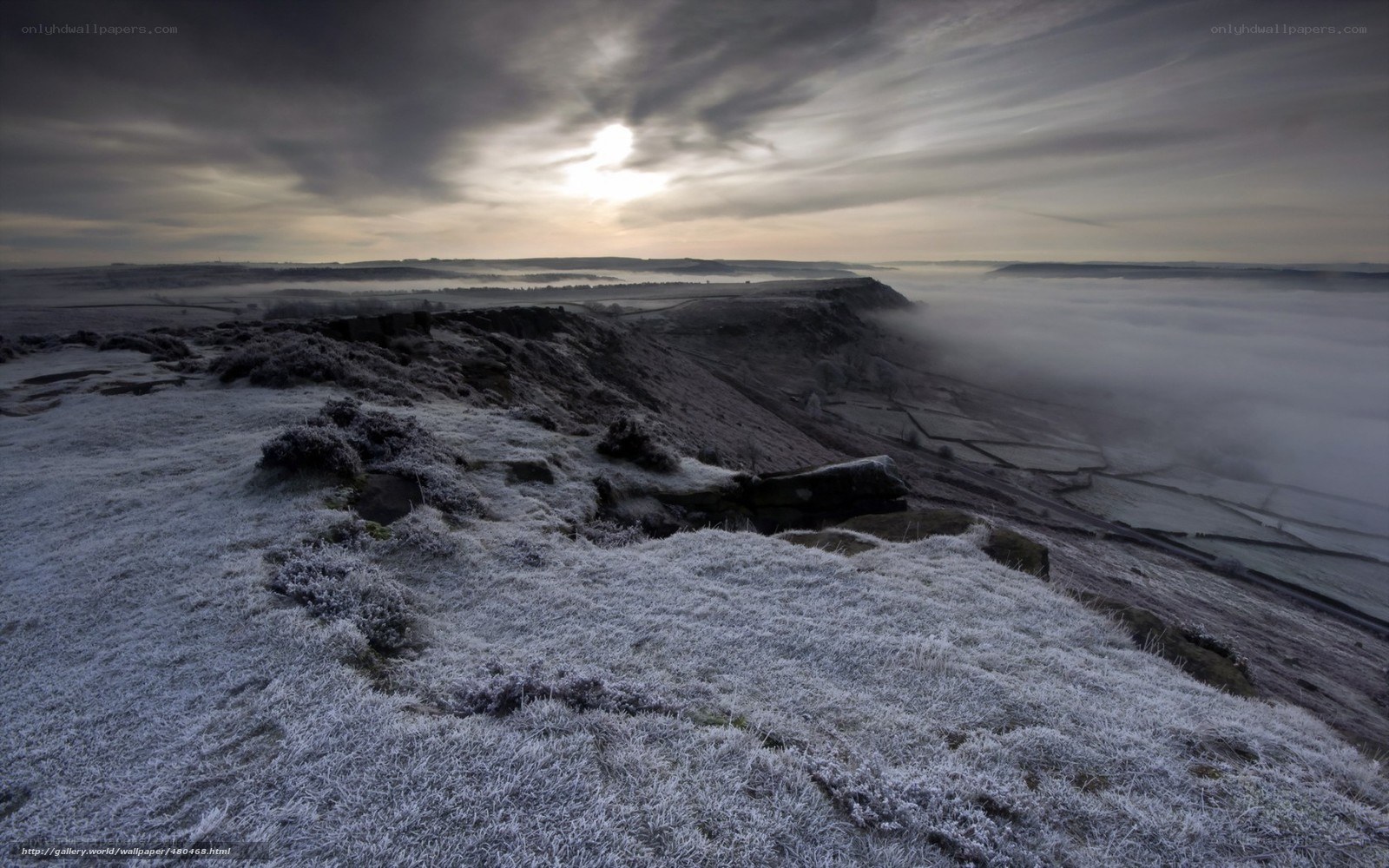 Frosty landscape at dawn
