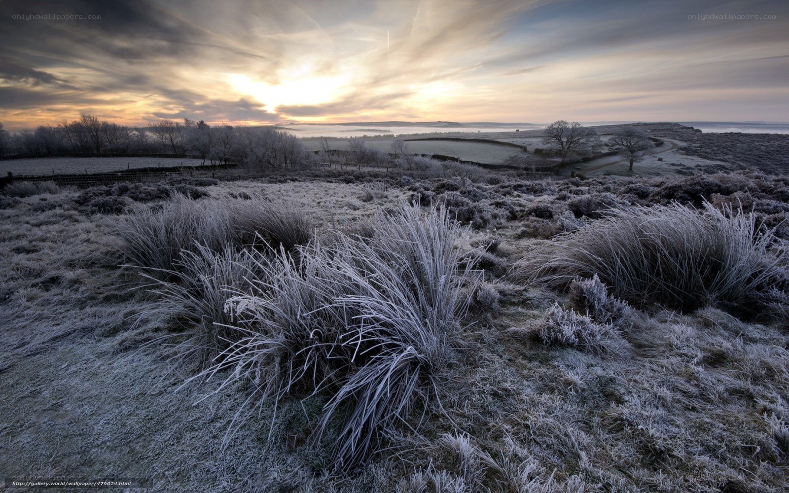 Frosty landscape at sunrise