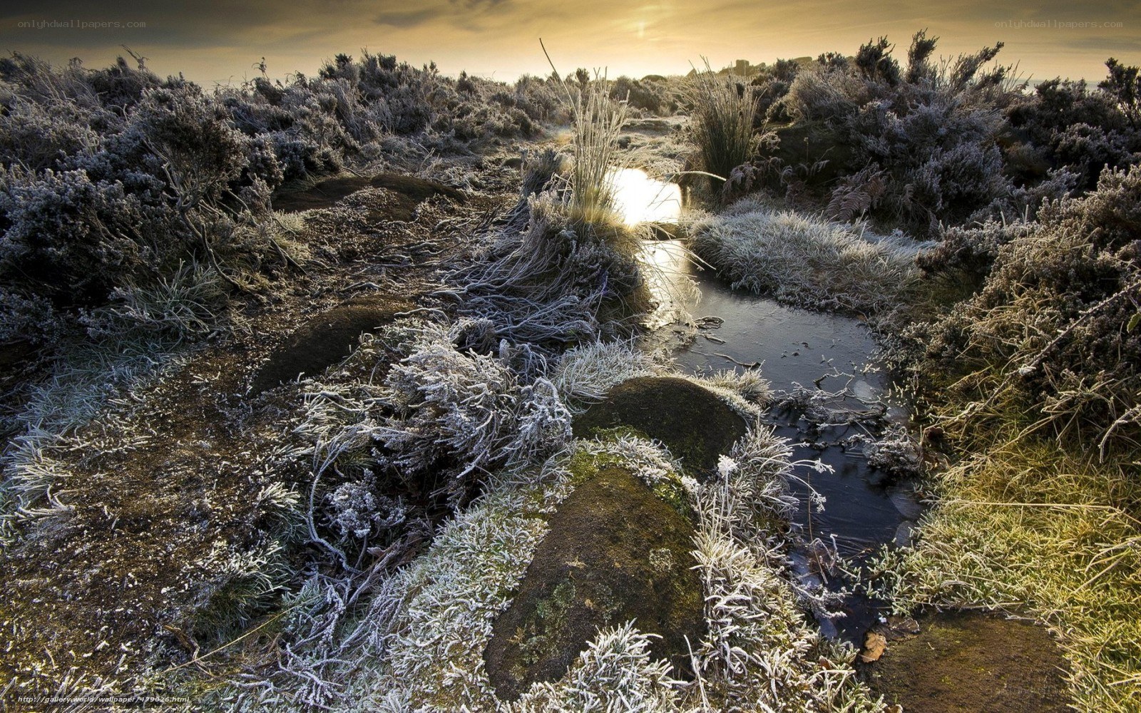 Frosty landscape at sunrise