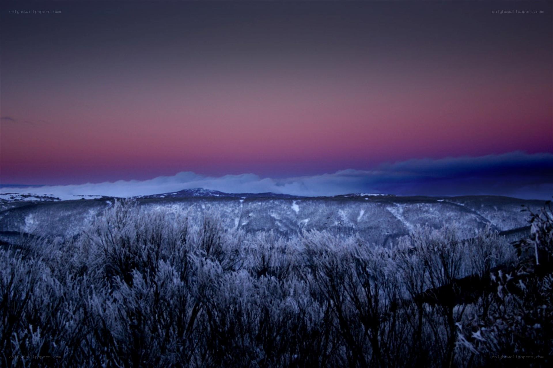 Frosty landscape at twilight