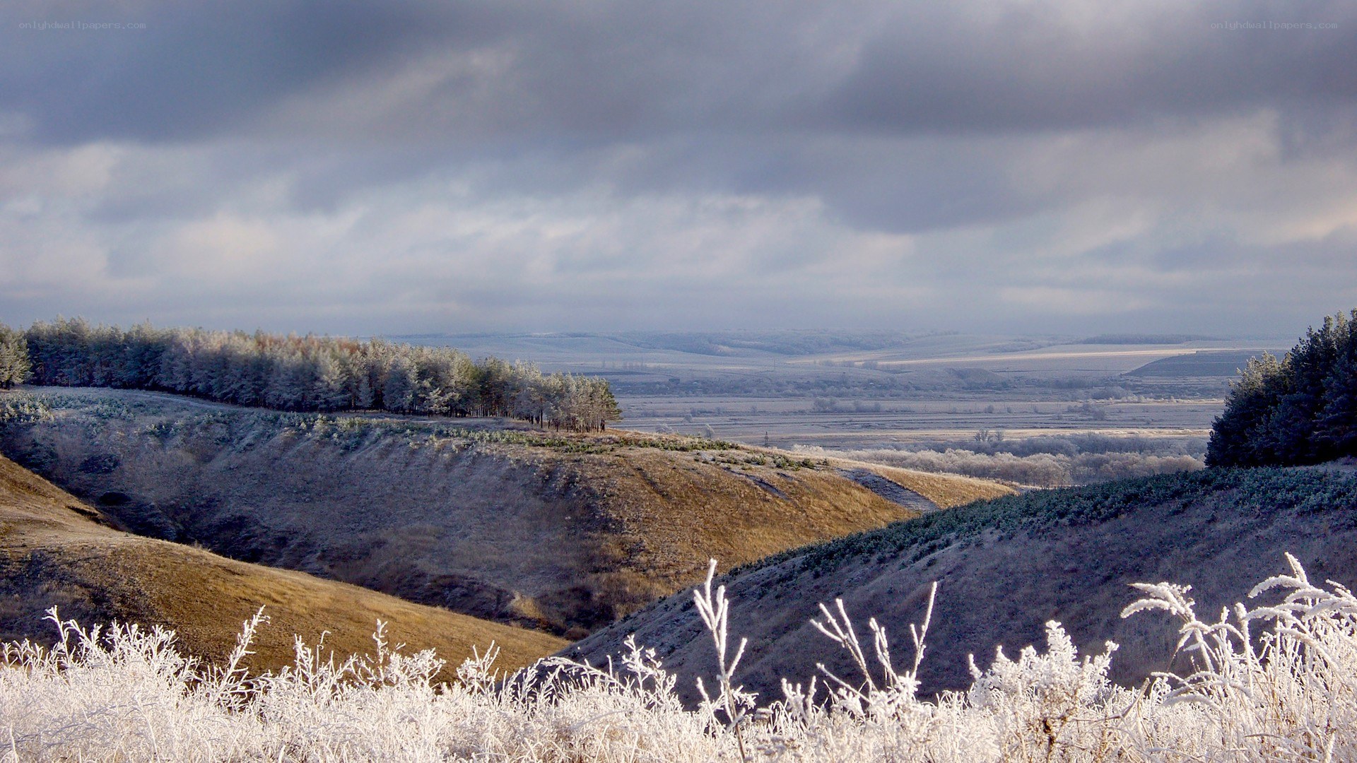 Frosty landscape with rolling hills