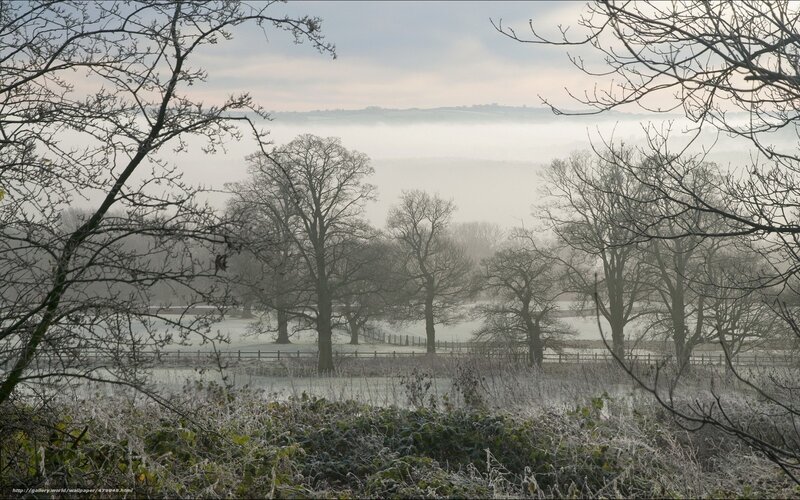 Frosty Landscape with Trees