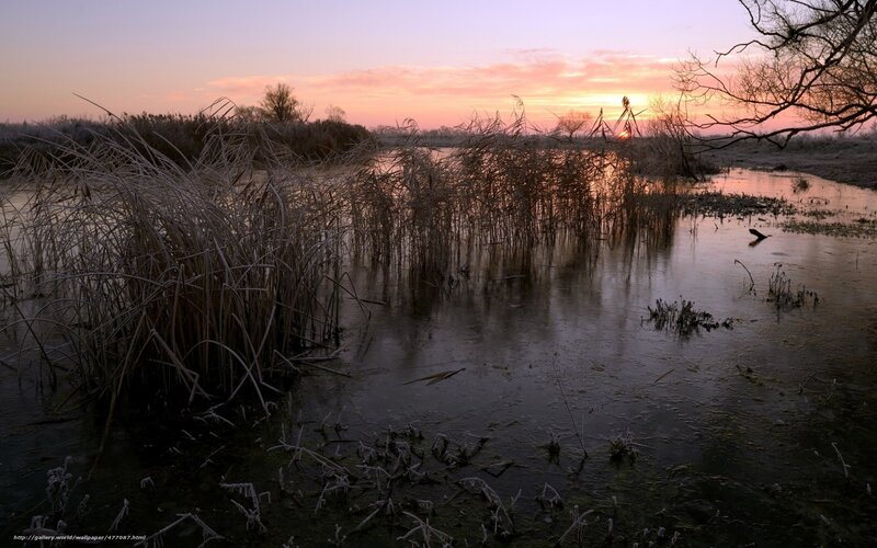 Frosty marsh at sunset