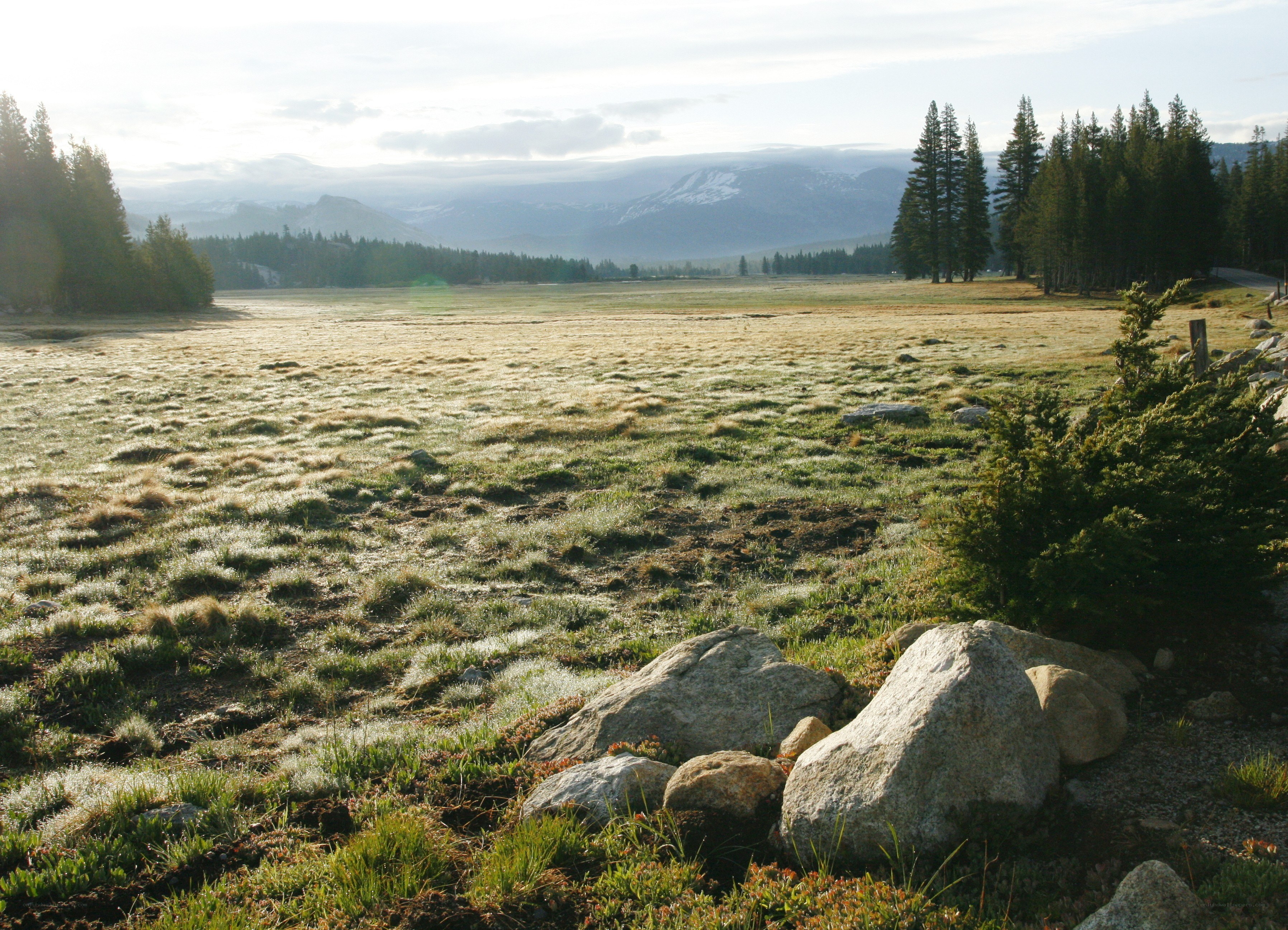 frosty meadow with mountains