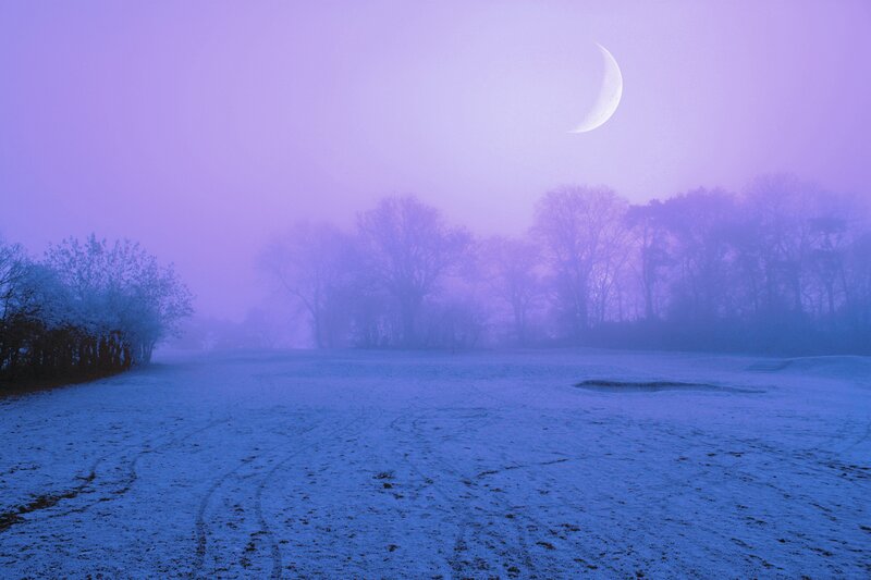 Frosty moonlit field