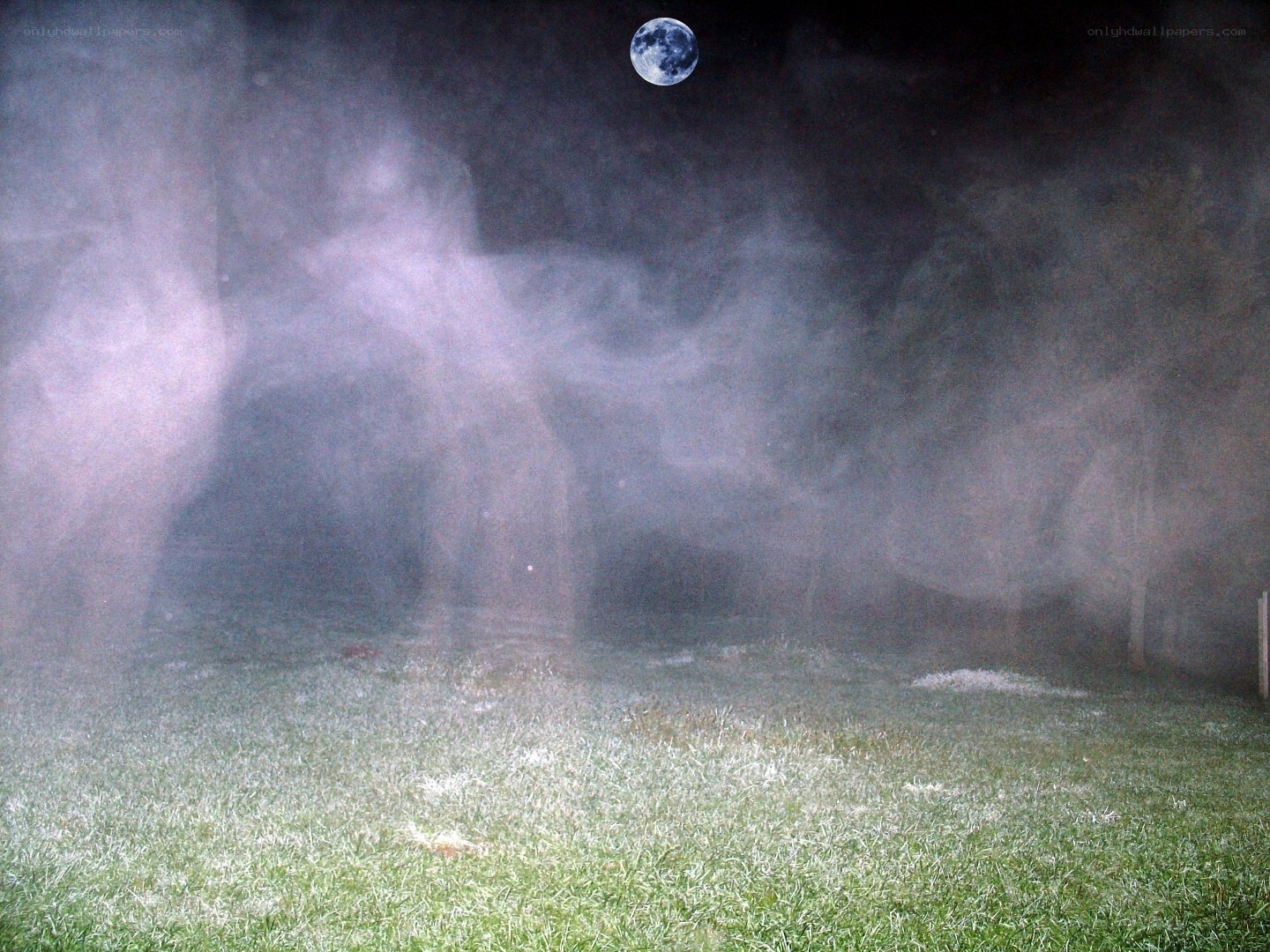 Frosty moonlit night