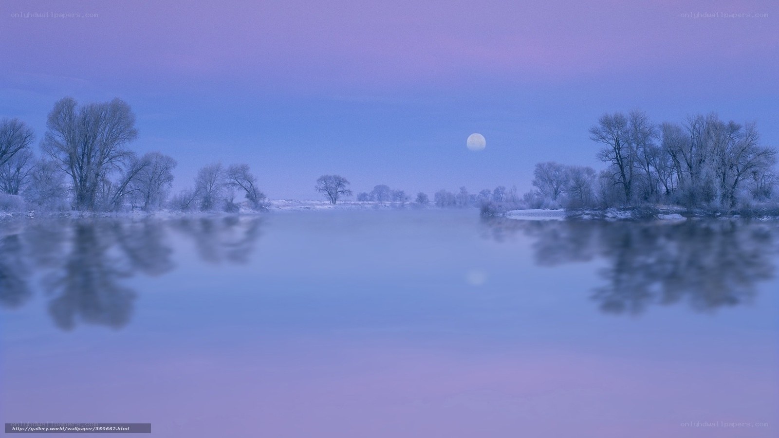 Frosty moonlit river landscape