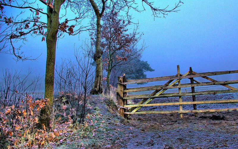 Frosty morning by a wooden gate