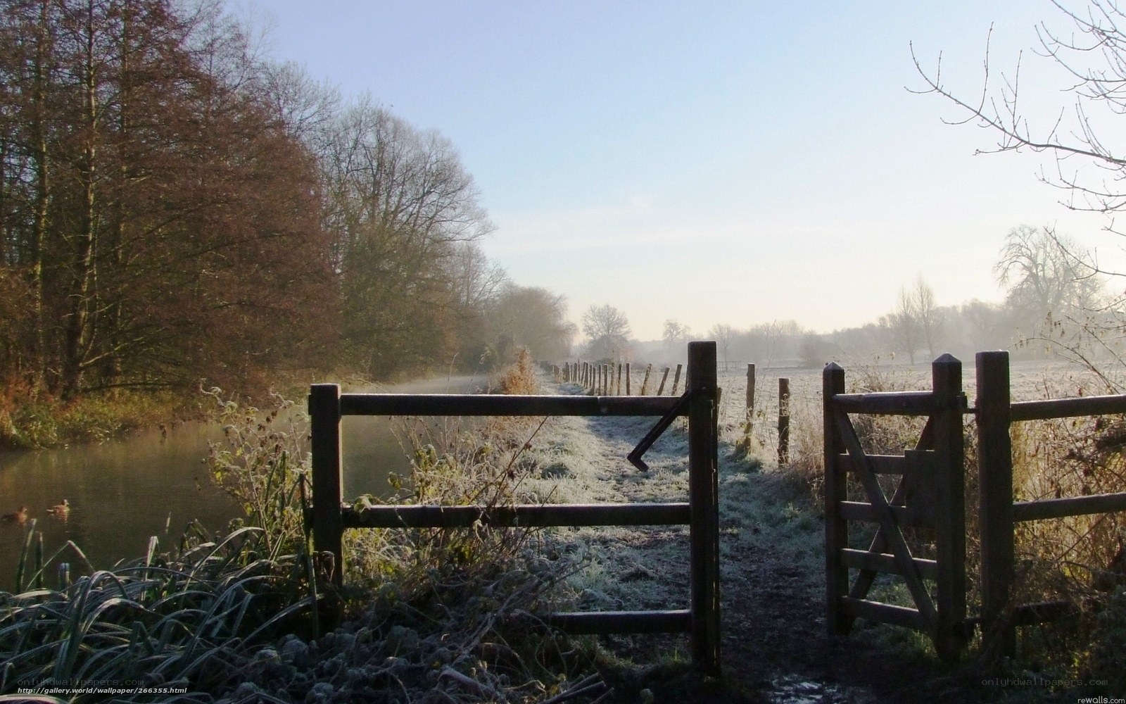 Frosty morning by the river