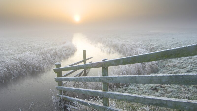 Frosty morning by the stream