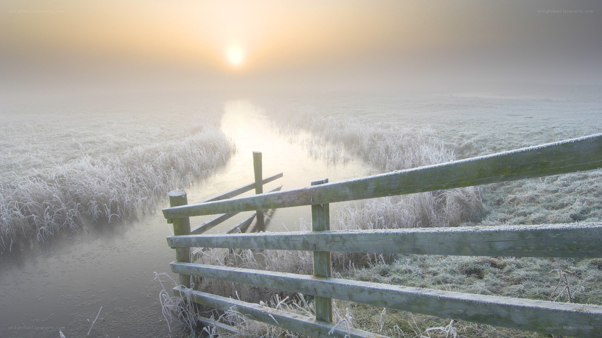 Frosty morning by the stream