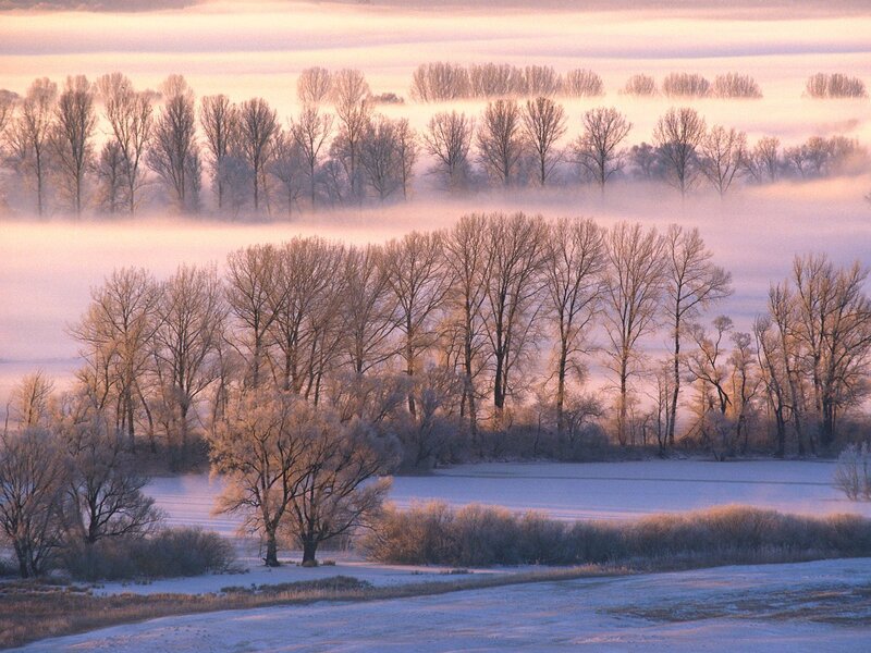 Frosty morning fog landscape