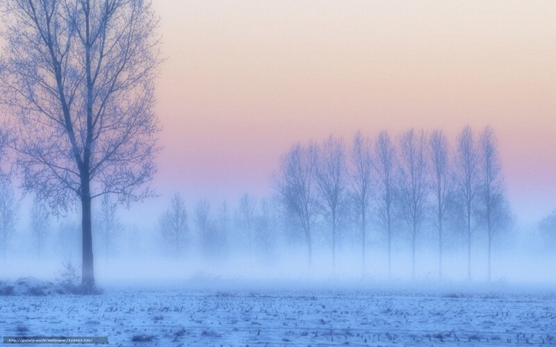 Frosty morning fog landscape