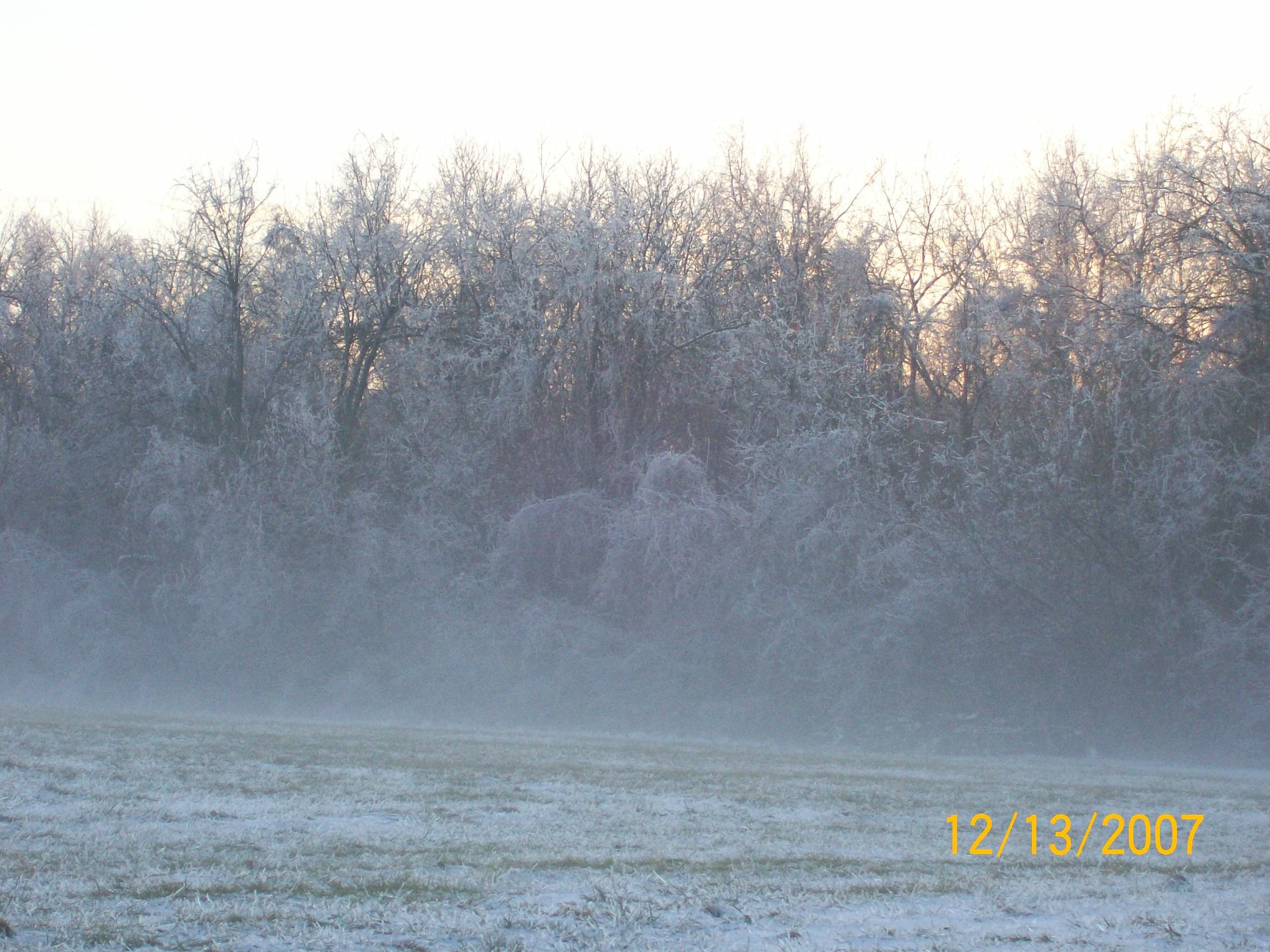 Frosty morning in a field