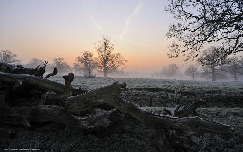 Frosty morning in the countryside