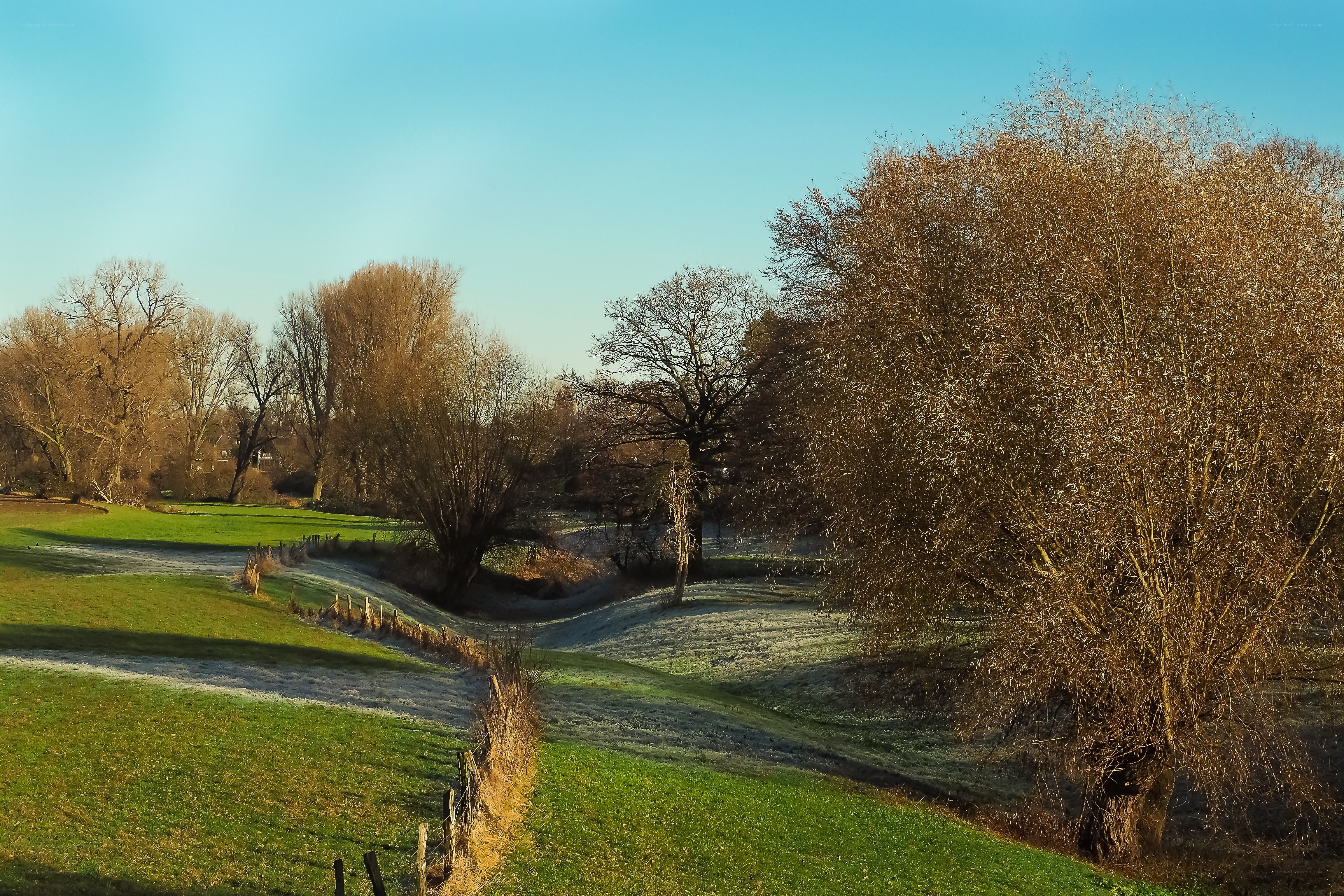 Frosty morning in the countryside