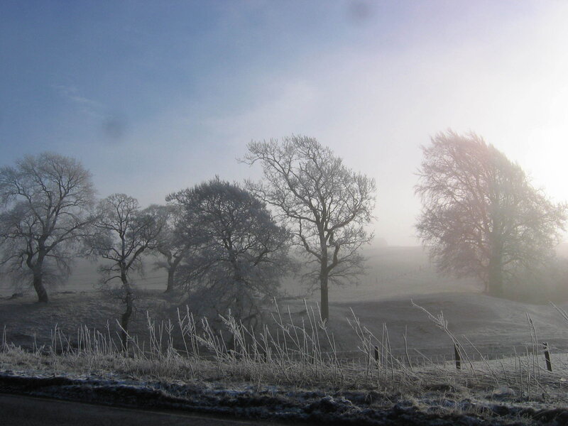Frosty morning in the countryside